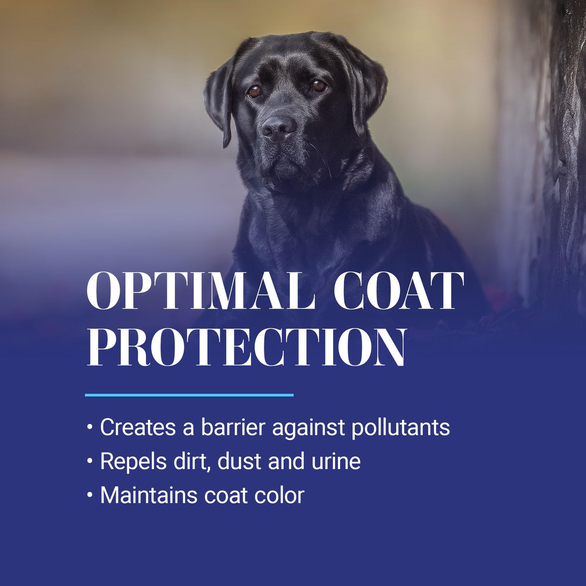 13.2 Oz Dog Dematting Conditioning Spray R17488