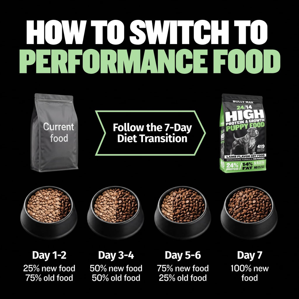 High Protein Lamb and Rice Dry Dog Food for Puppies, 5 lb Bag H235