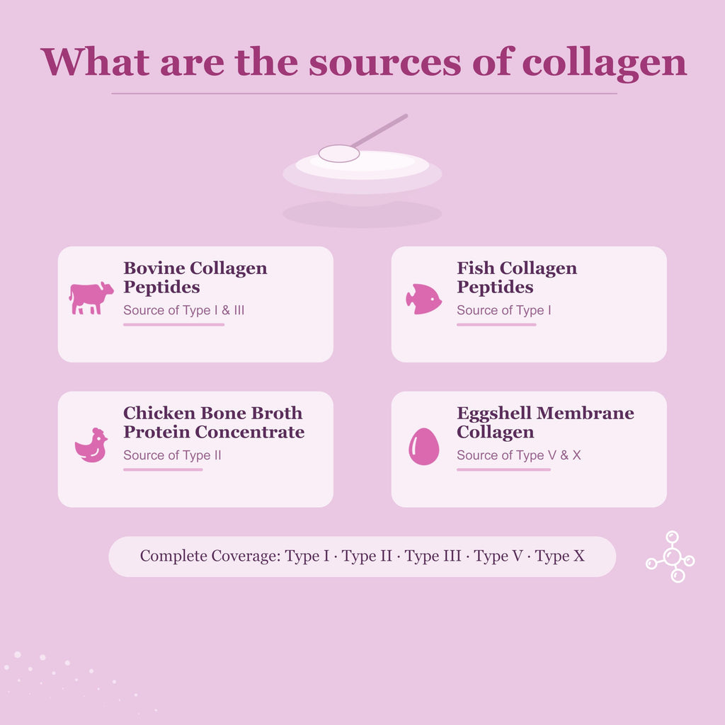 Unflavored Multi Collagen Peptides Powder 1lb G65703