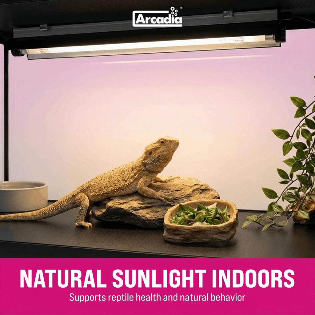 39W UVB Lighting Kit I5494