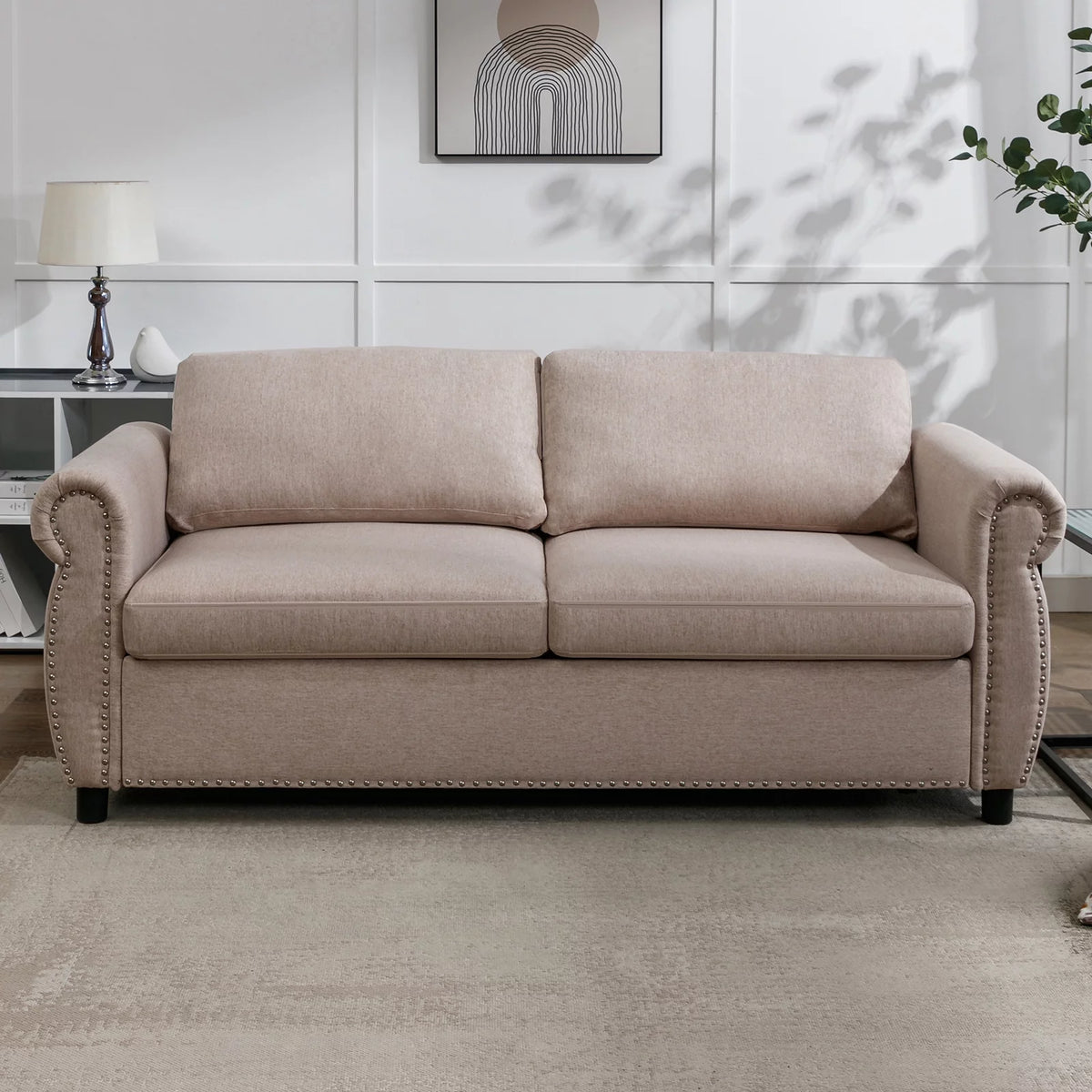 Queen Size Pull Out Sofa Bed T79913