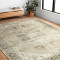 Printed Persian Distressed Vintage Area Rug 3' x 5' I661