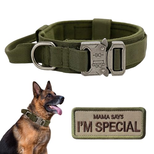 Nylon Adjustable Reflective Dog Collar with Handle and Heavy Duty Metal Buckle Y620