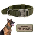 Nylon Adjustable Reflective Dog Collar with Handle and Heavy Duty Metal Buckle Y620