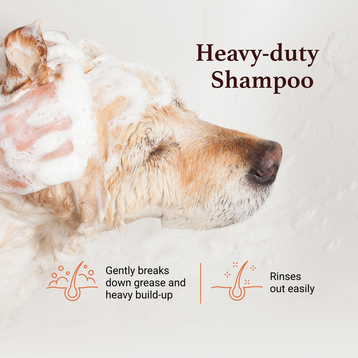 Dog Shampoo Chamomile Extracts 1 GAL B10639