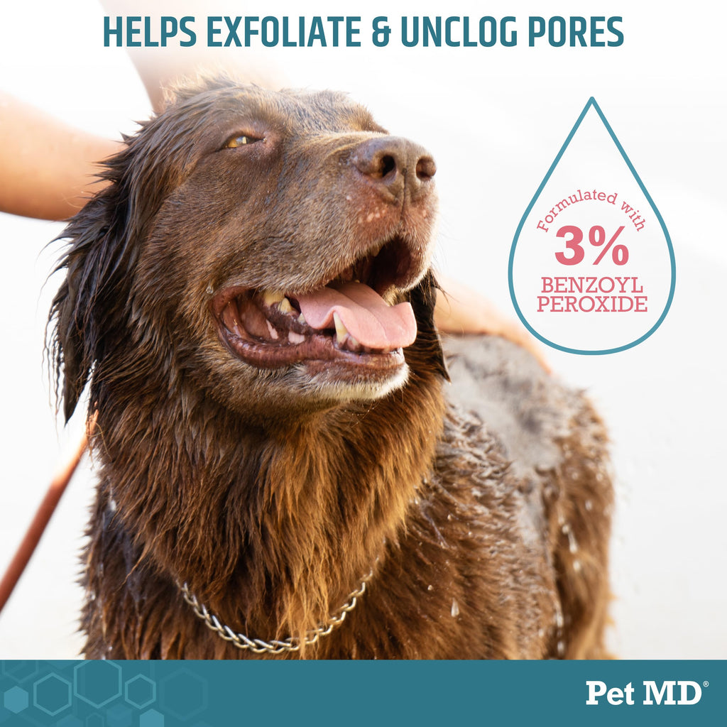 Benzoyl Peroxide Shampoo for Dogs, Cats, and Horses 12oz B973
