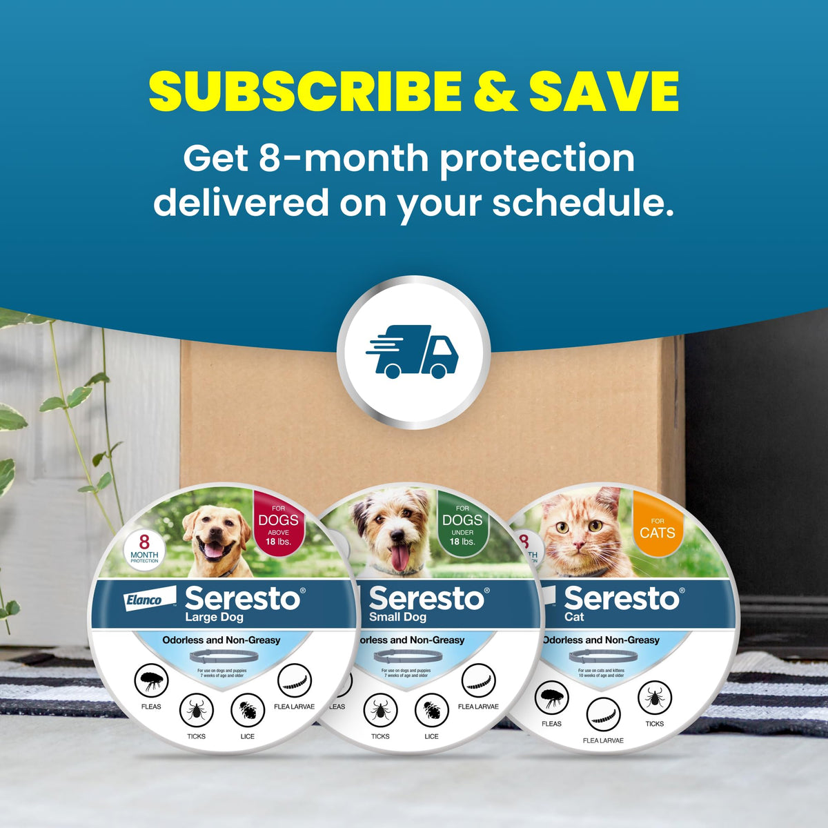 8-Month Flea & Tick Collar for Large Dogs Over 18 lbs H9898