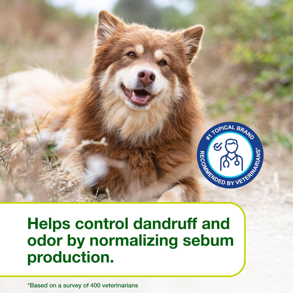 Dog Seboregulating Shampoo 16.9 fl oz B4877