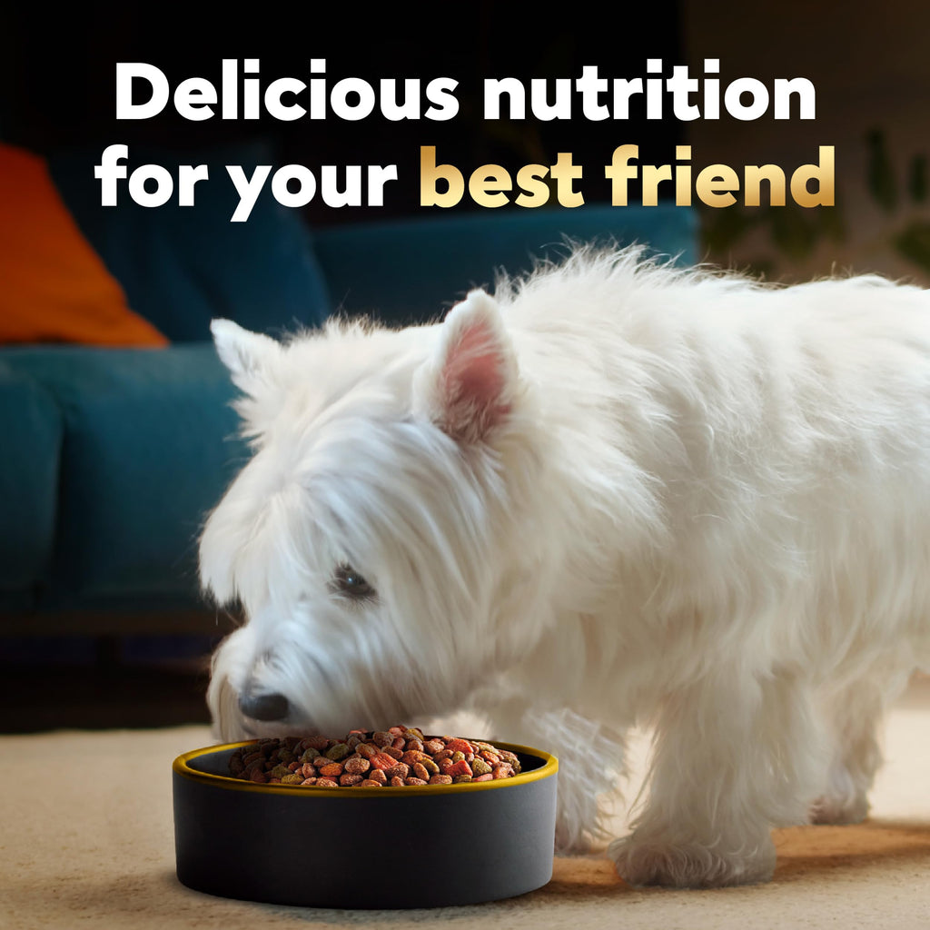Small Breed Dry Dog Food 12 lb Z2120