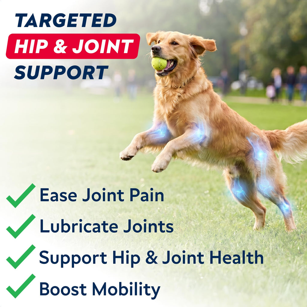 Hip Joint Supplement for Dogs C62517
