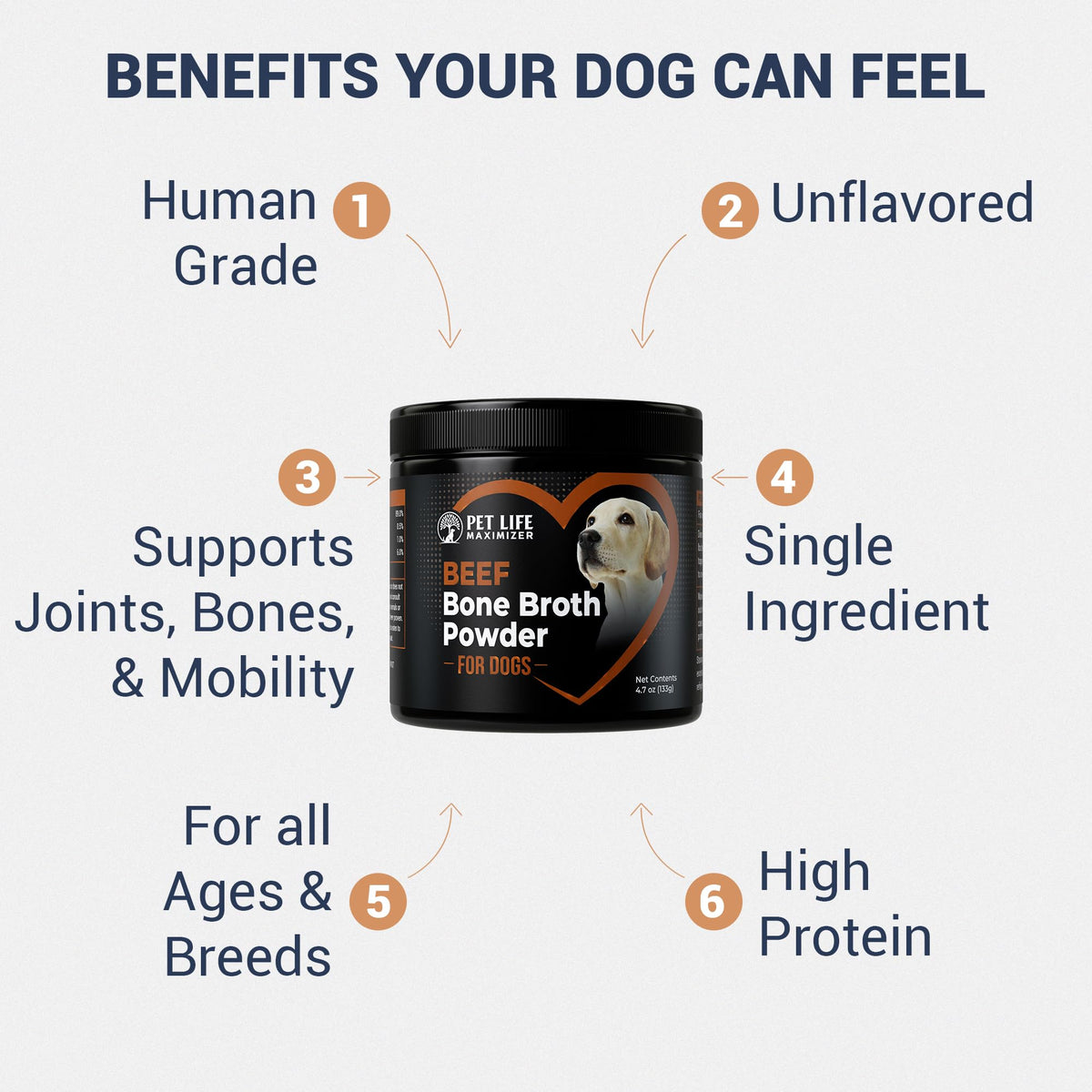 Beef Bone Broth for Dogs H462