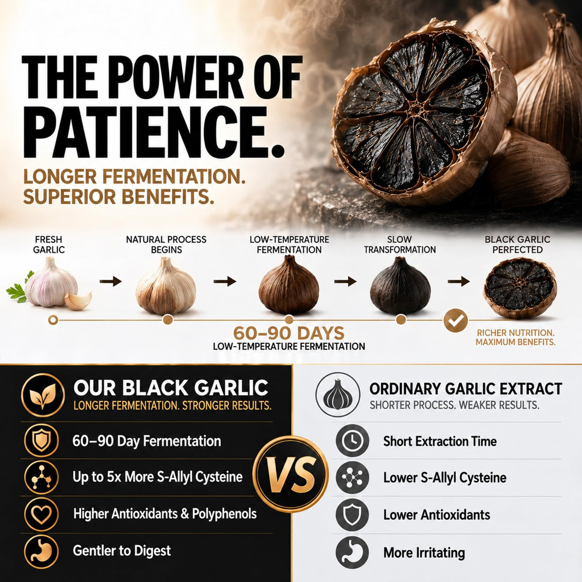 Black Garlic Extract Softgels 300 Count O653880