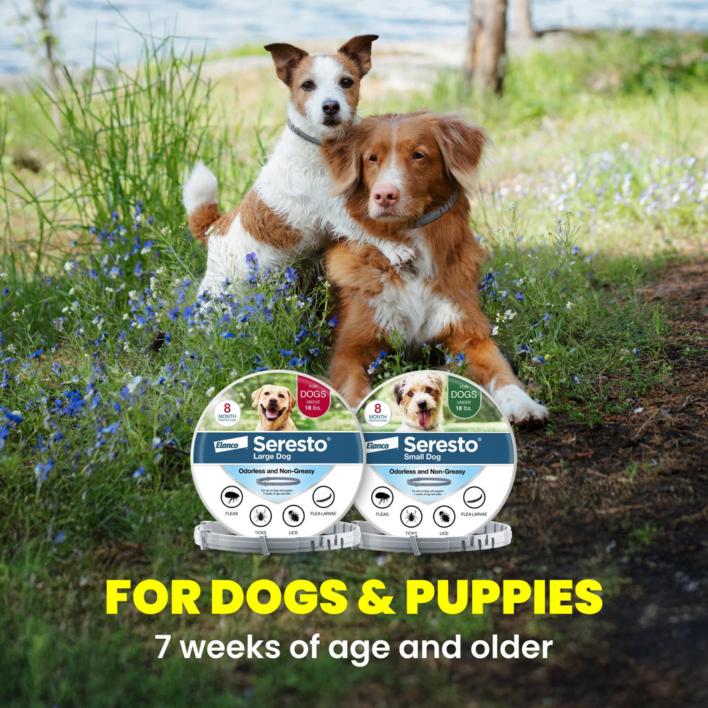 8-Month Flea & Tick Collar for Large Dogs Over 18 lbs H9898