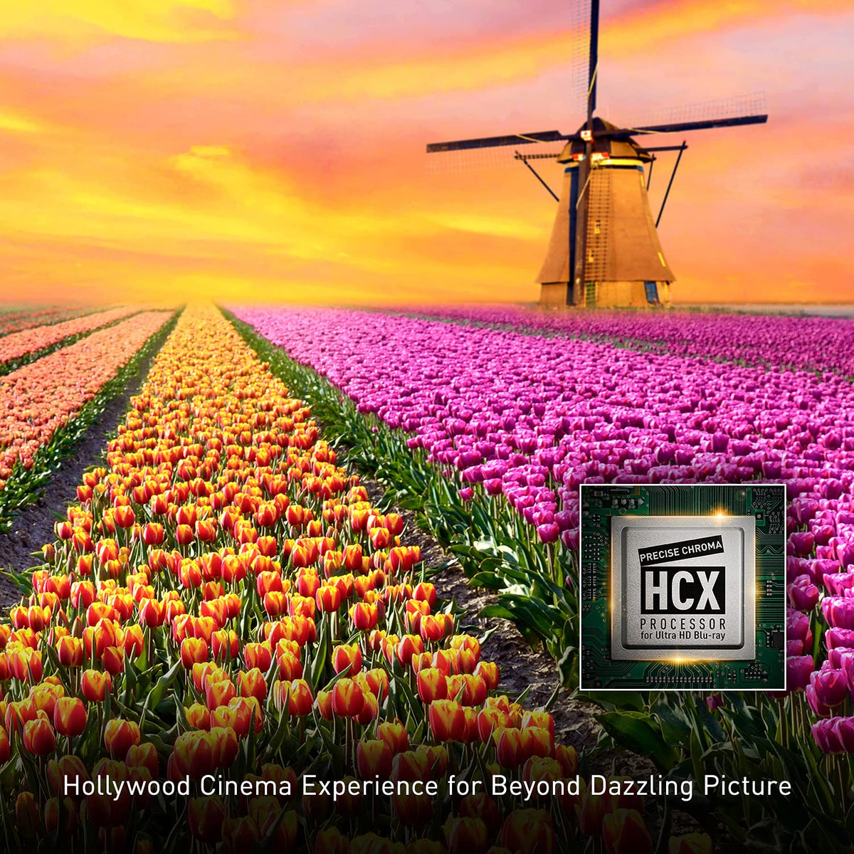 4K Blu Ray Player V934