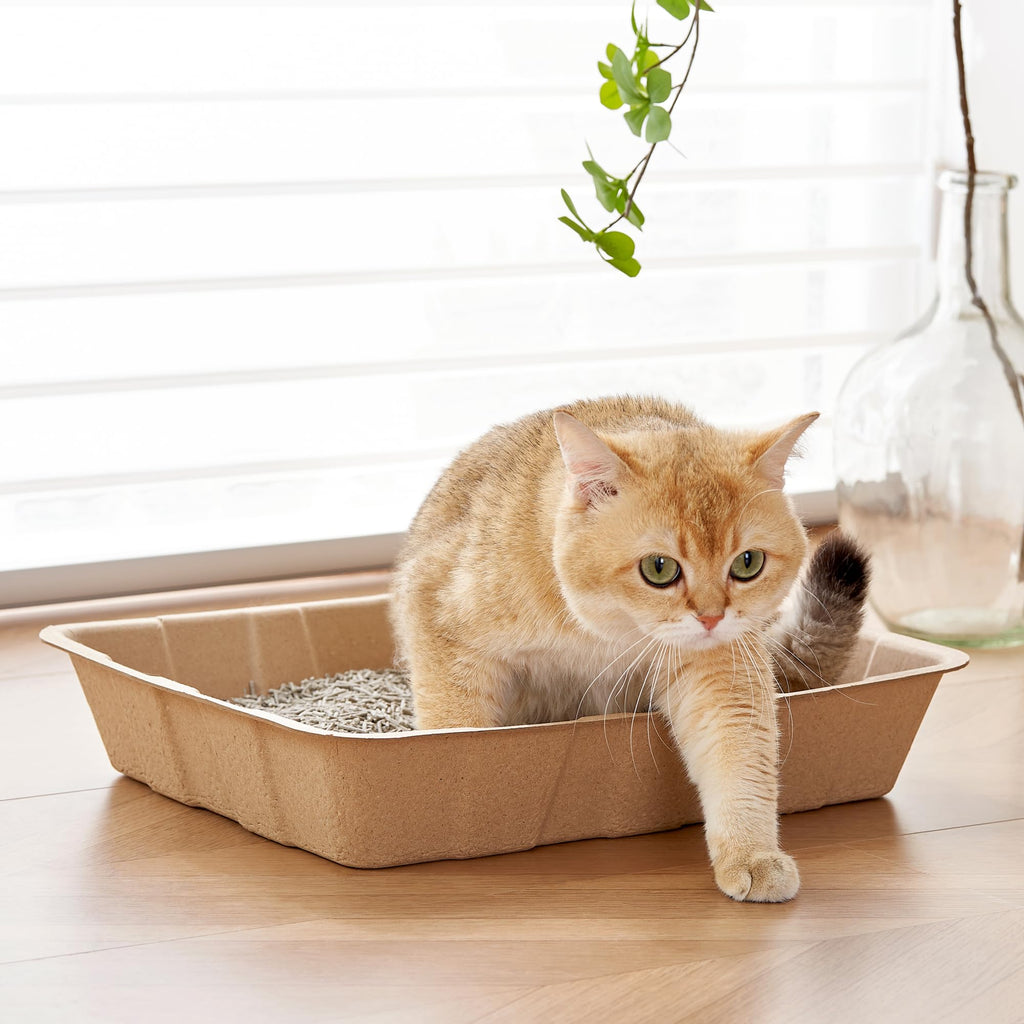 Disposable Cardboard Cat Litter Boxes 5 Pack Z39876