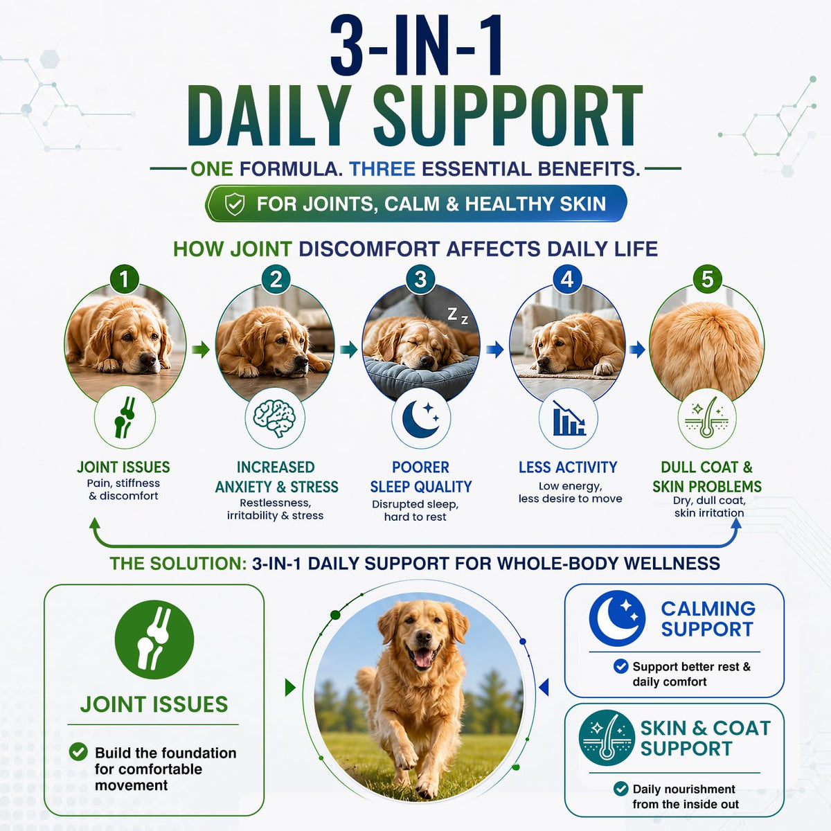 Hip and Joint Supplement for Dogs 200ct B1843