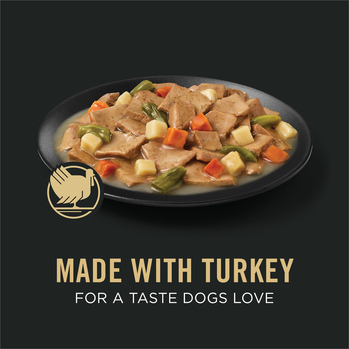 13 oz Wet Dog Food in Gravy V44701