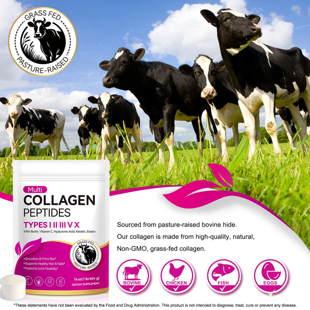 Multi Collagen Peptides Powder Types I II III V X 16 Oz Hydrolyzed with Biotin Unflavored I723807