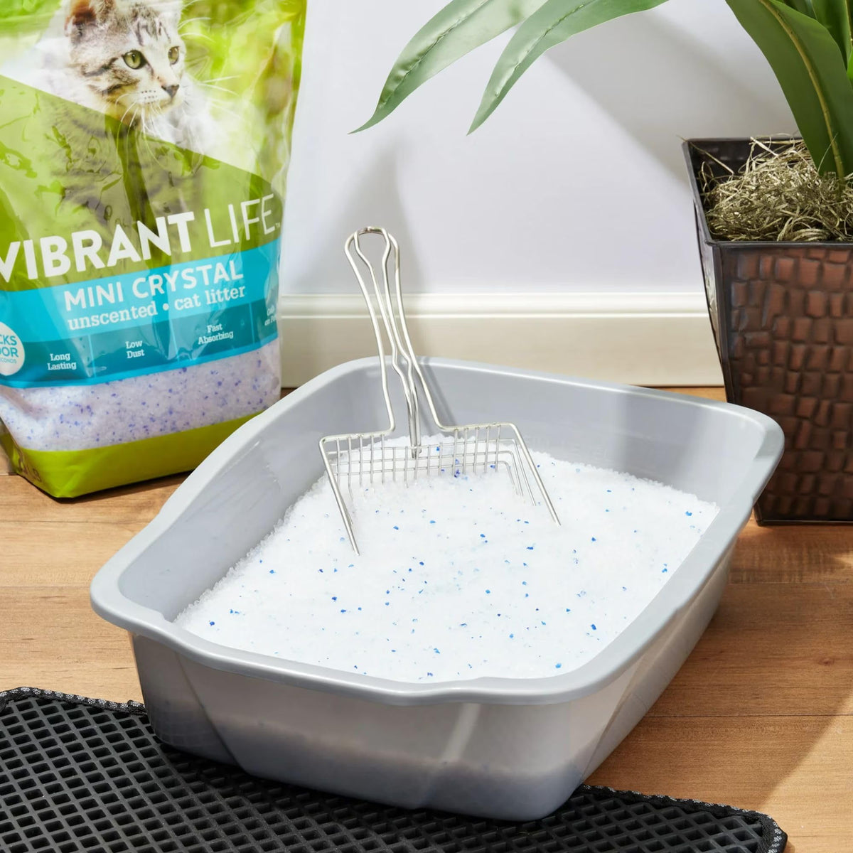 Unscented 8 lb Cat Litter K70186