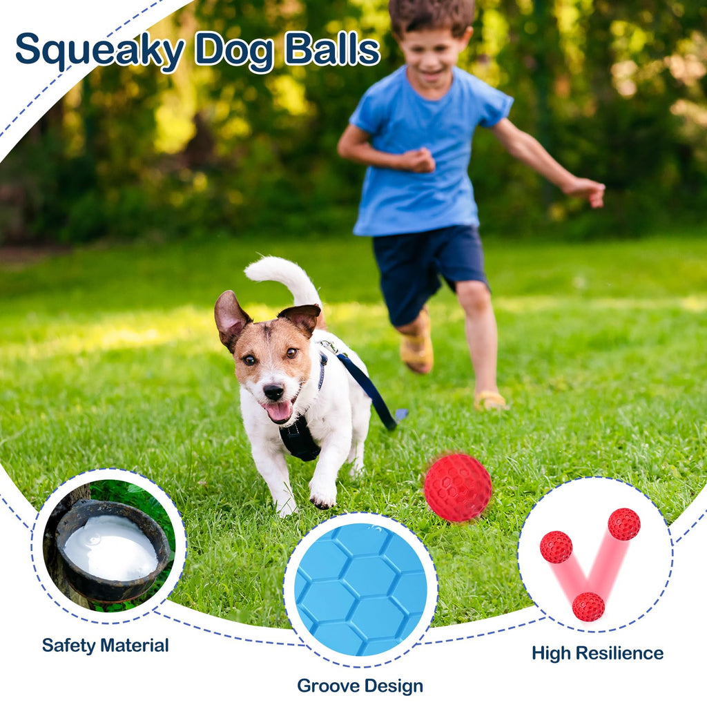 2 Pack Rubber Dog Chew Balls W194924