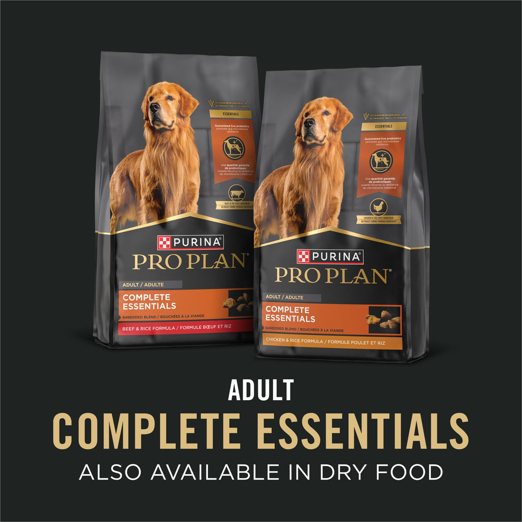 13 oz Wet Dog Food in Gravy V44701