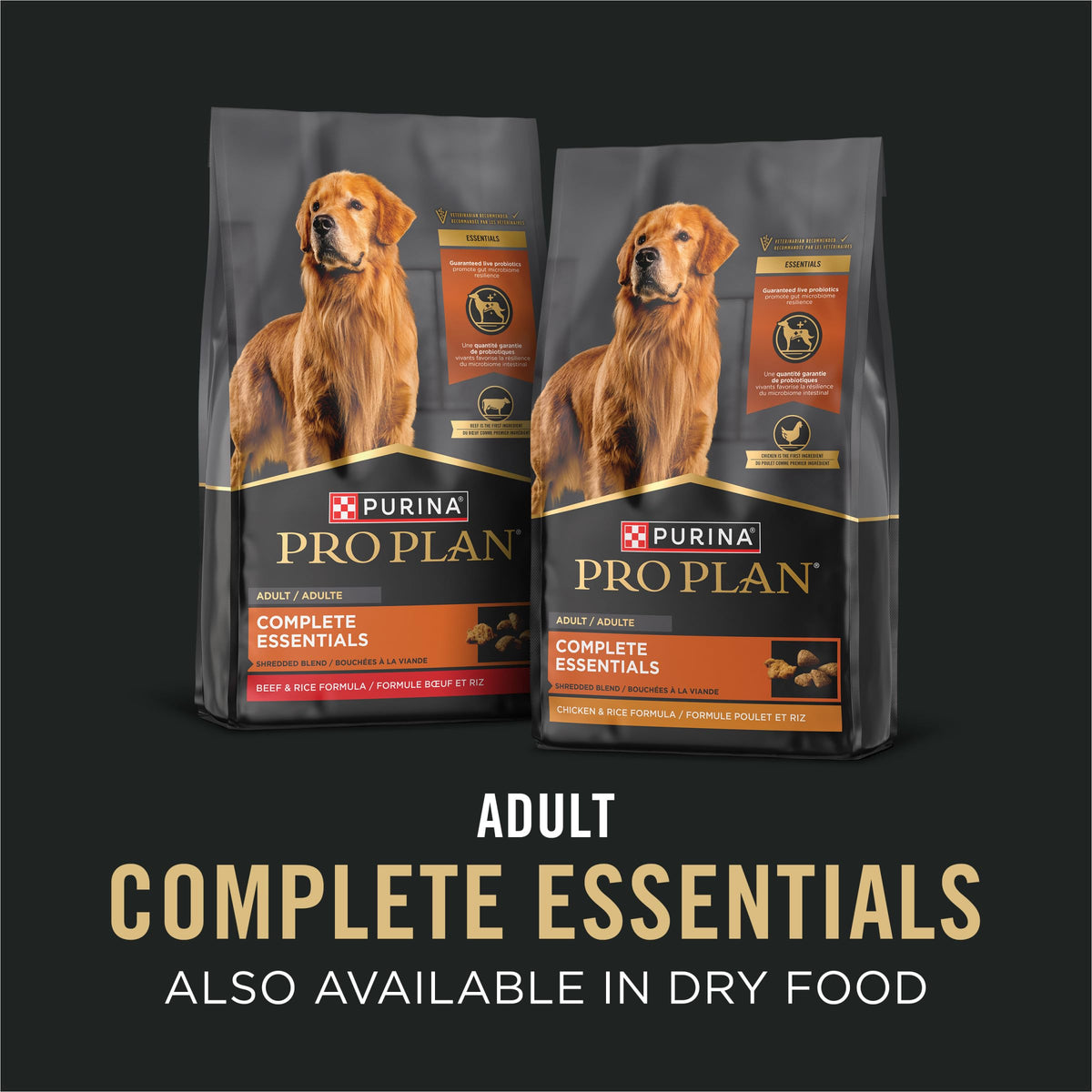 13 oz Wet Dog Food in Gravy V44701