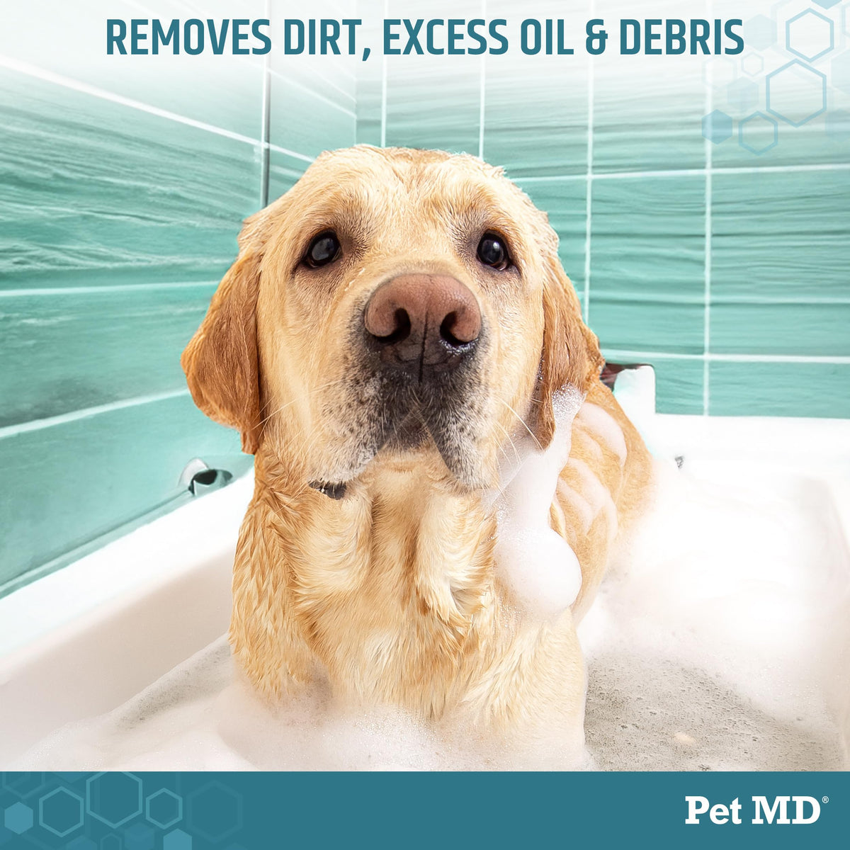 Benzoyl Peroxide Shampoo for Dogs, Cats, and Horses 12oz B973