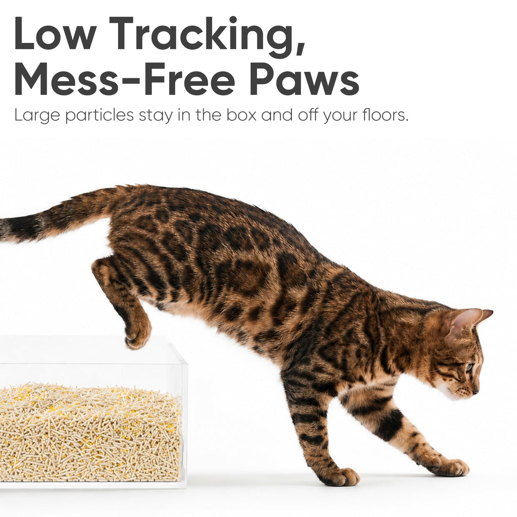 Clumping Tofu Cat Litter 18 lb O6481