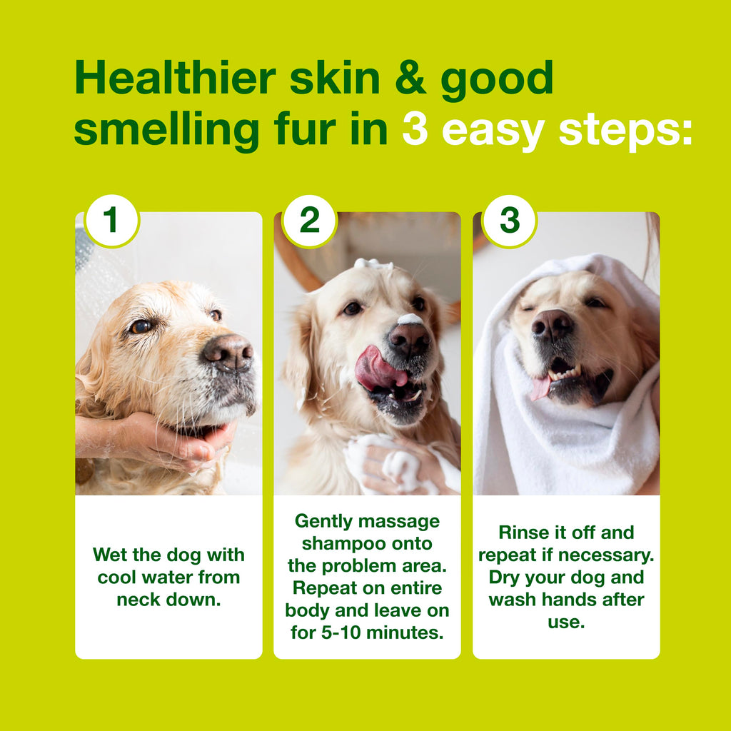 Dog Seboregulating Shampoo 16.9 fl oz B4877
