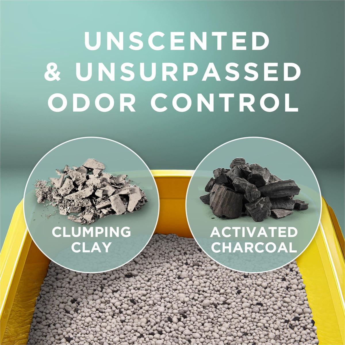 Unscented Clumping Cat Litter C4513
