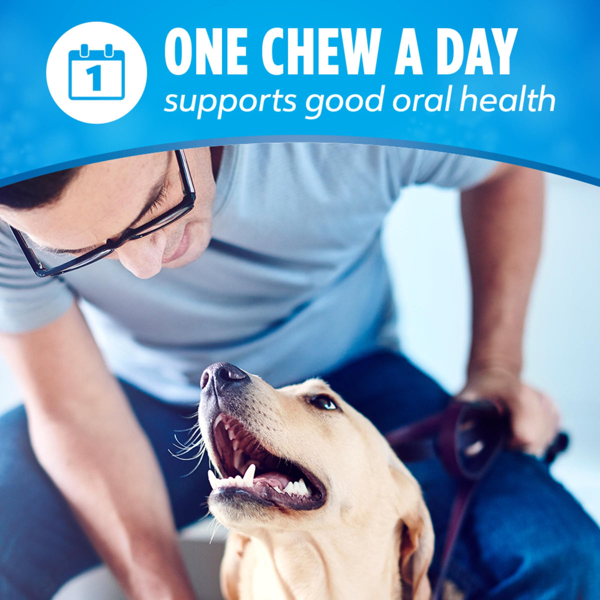Daily Dental Chews for Large Dogs, 18 ct J98204