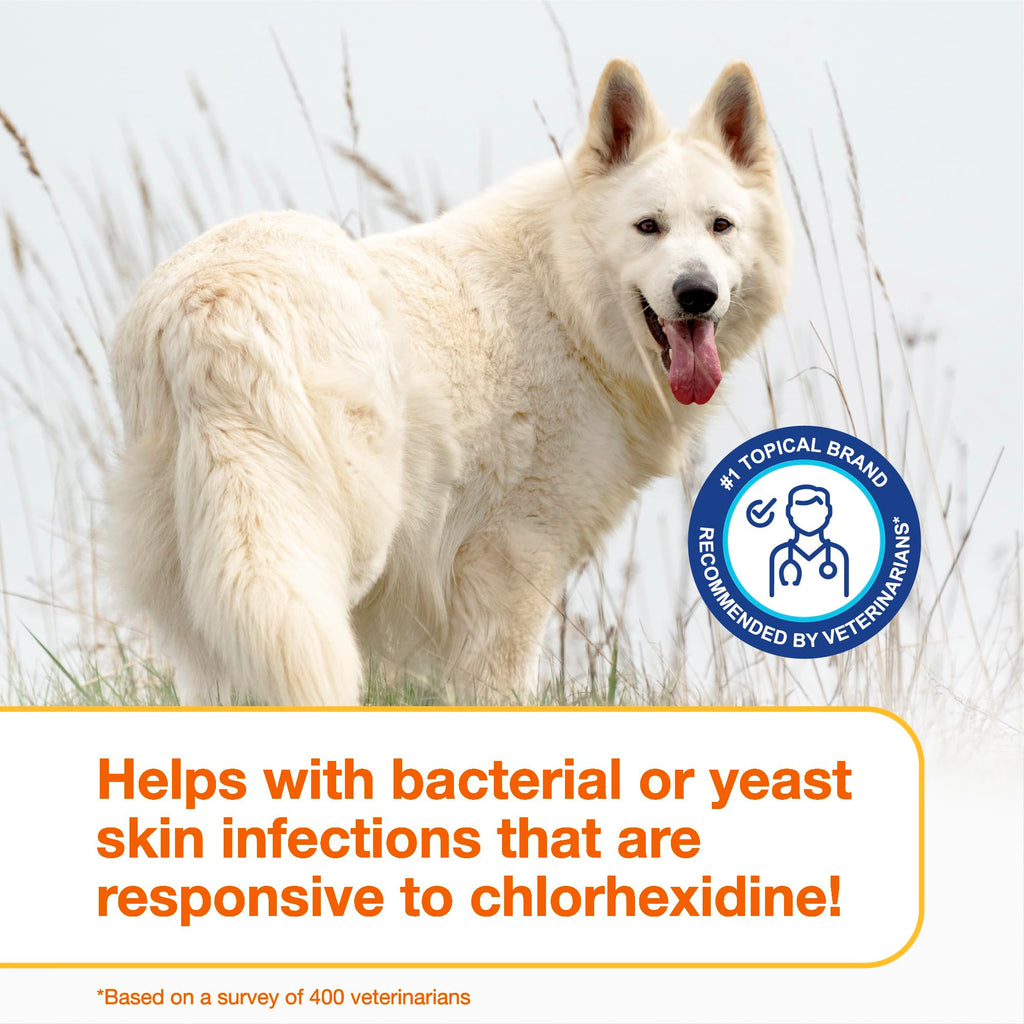Chlorhexidine Shampoo and Mousse for Dogs R48289