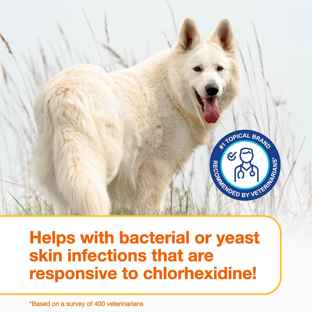 Chlorhexidine Shampoo and Mousse for Dogs R48289