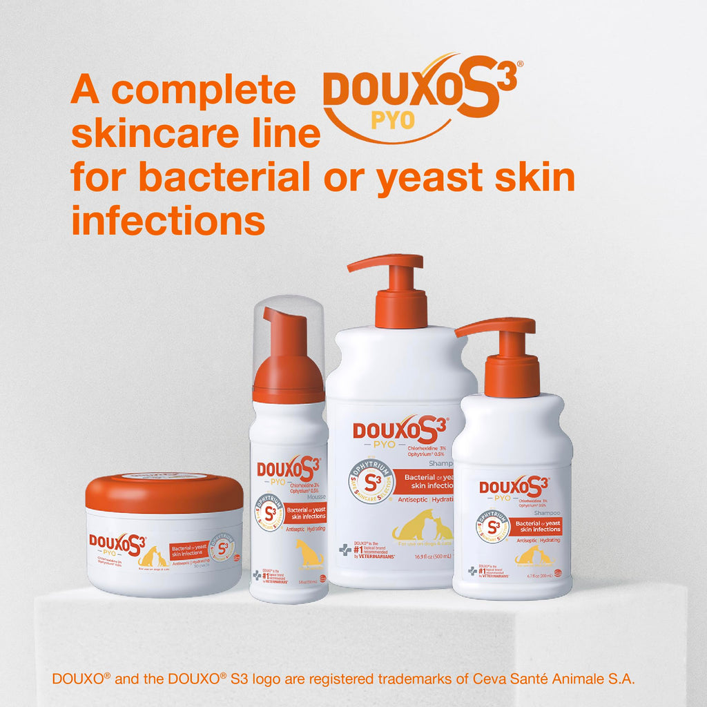 Chlorhexidine Shampoo and Mousse for Dogs R48289