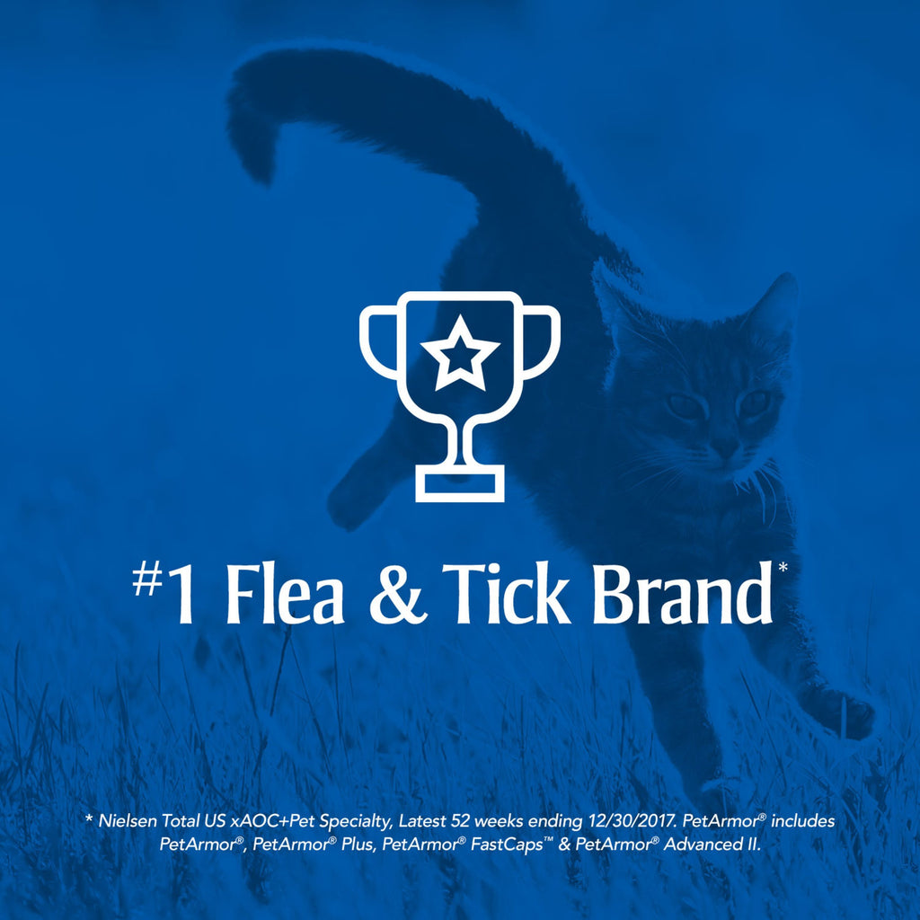 Flea & Tick Treatment for Cats C542458