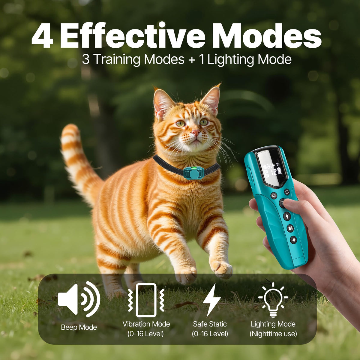 Small Cat Training Collar with Remote G16020