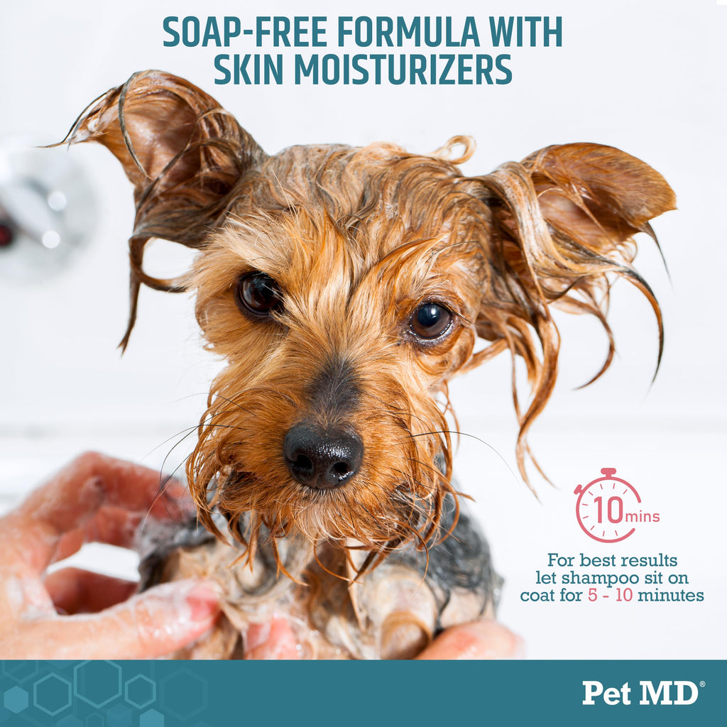 Benzoyl Peroxide Shampoo for Dogs, Cats, and Horses 12oz B973
