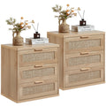 Rattan 23" Nightstands Set of 2 with Drawers O118679