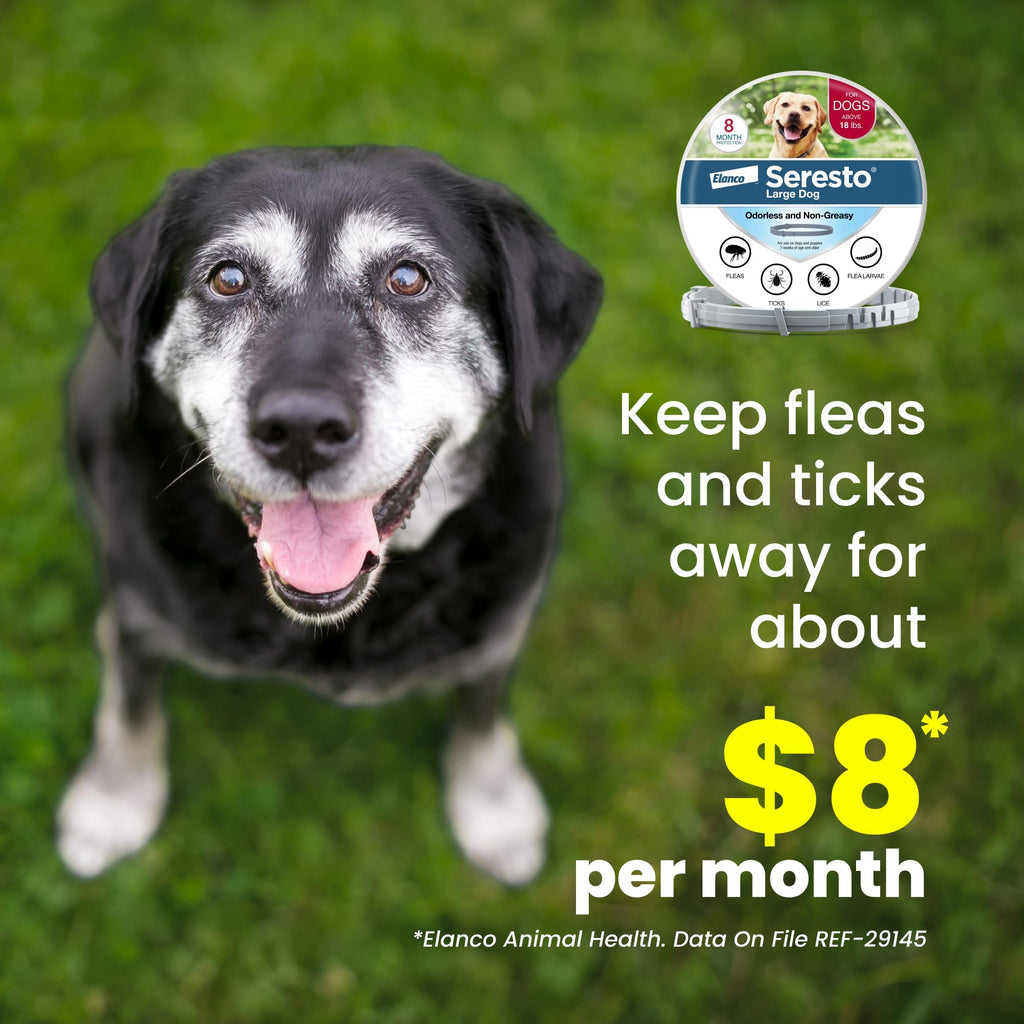 8-Month Flea & Tick Collar for Large Dogs Over 18 lbs H9898