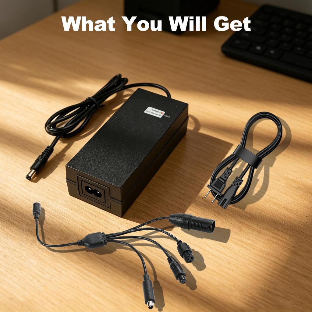 42V 2A Scooter Charger with 5 Types of Connectors X1852