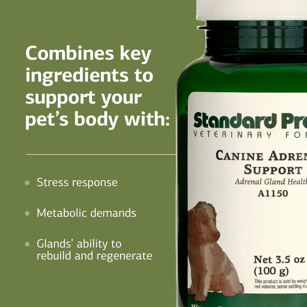 Canine Adrenal Support 100 g D324