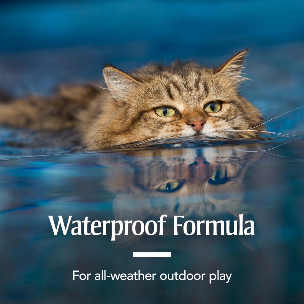 Flea & Tick Treatment for Cats C542458