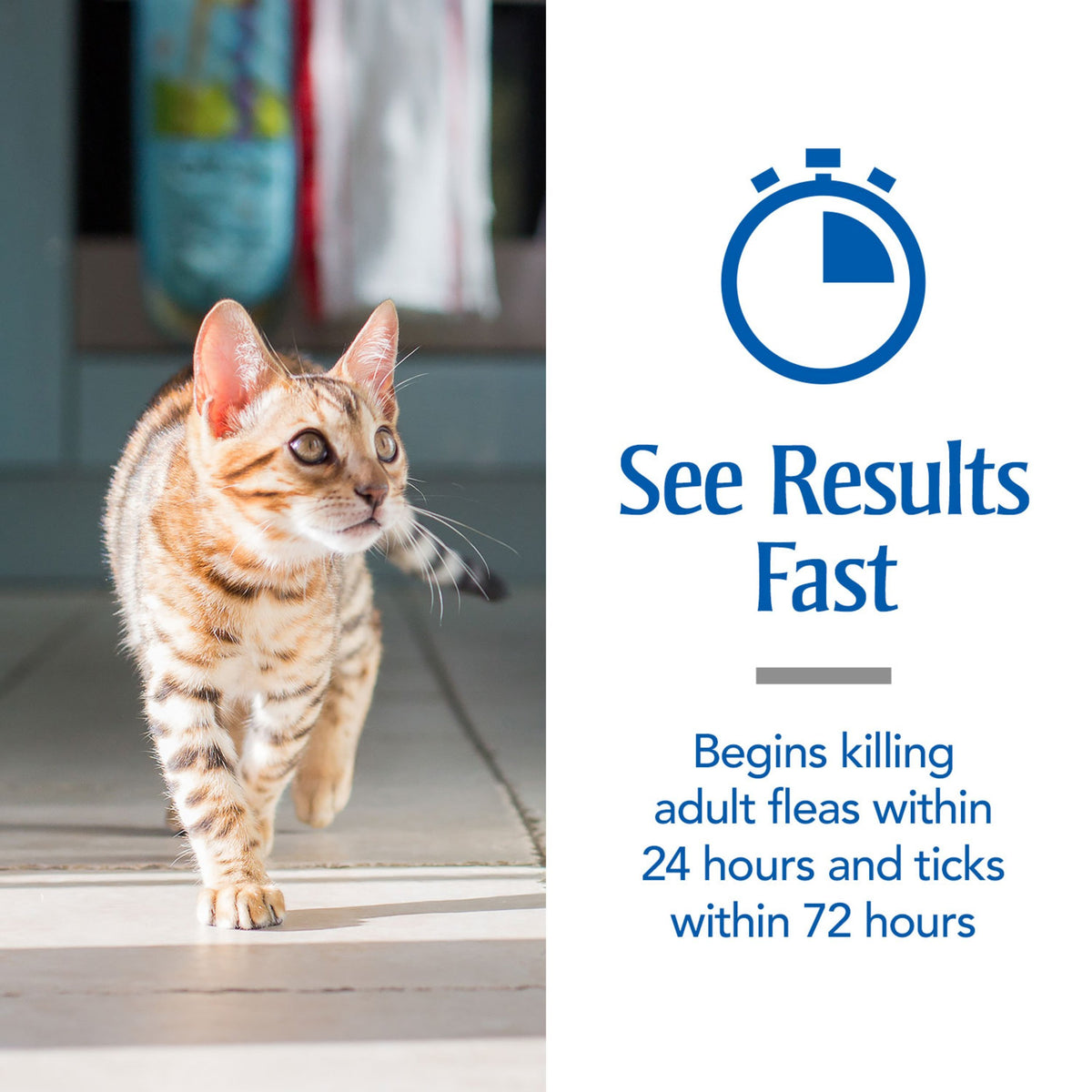 Flea & Tick Treatment for Cats C542458
