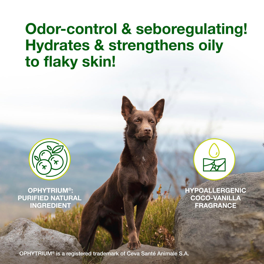Dog Seboregulating Shampoo 16.9 fl oz B4877