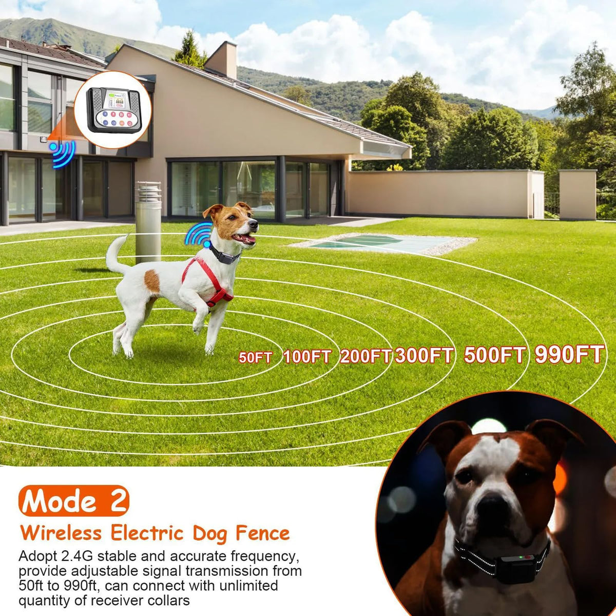 Wireless Dog Fence & Electric Training Collar with Remote C65384