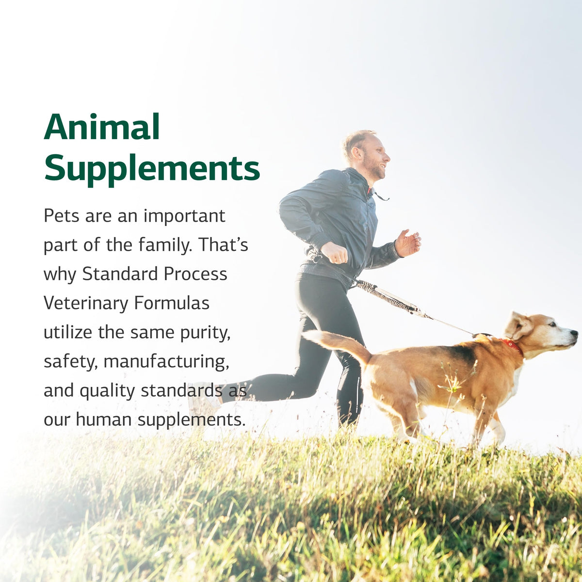 Canine Adrenal Support 100 g D324
