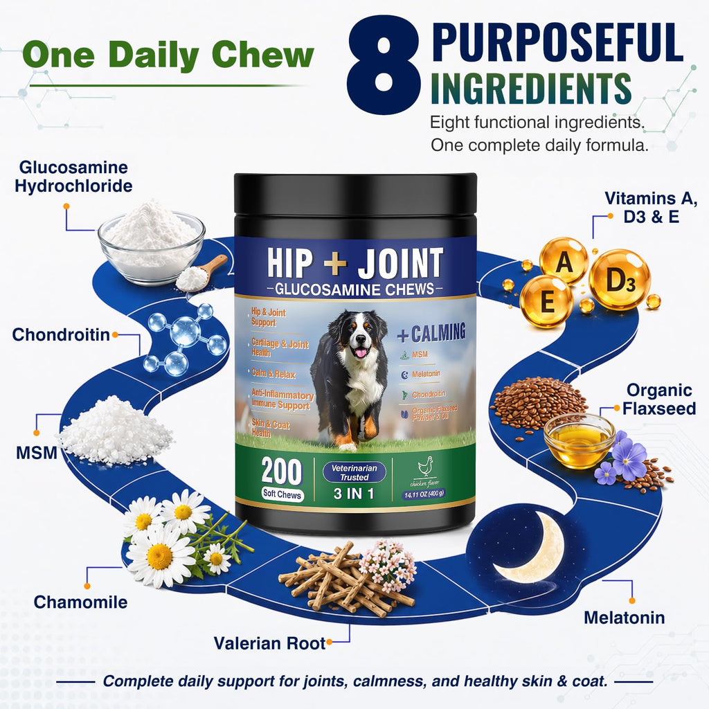 Hip and Joint Supplement for Dogs 200ct B1843