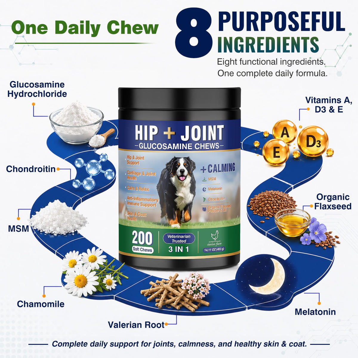 Hip and Joint Supplement for Dogs 200ct B1843