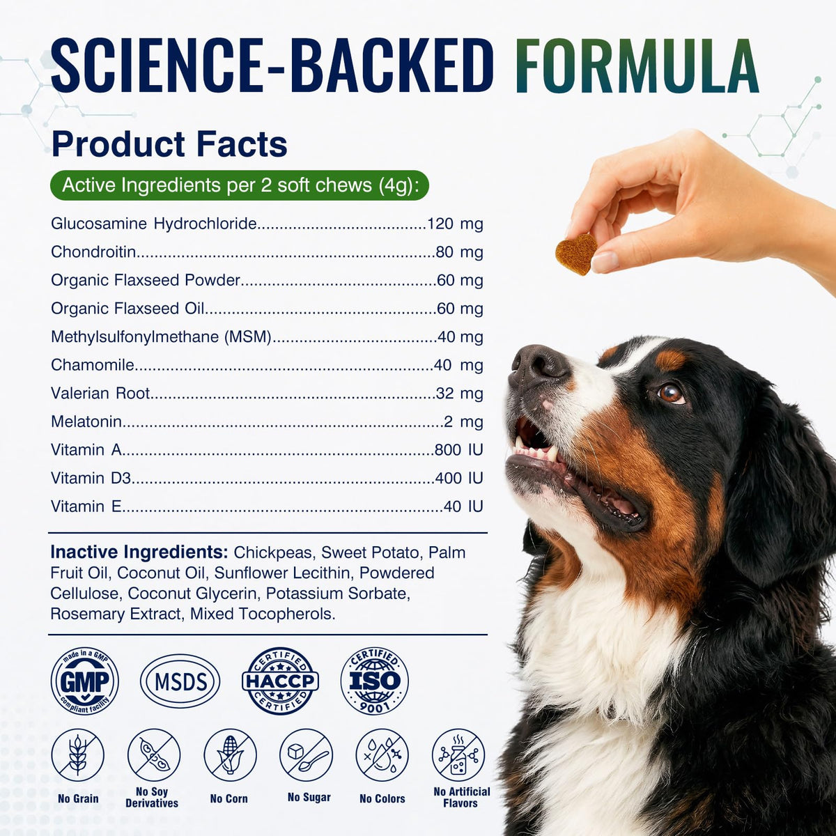 Hip and Joint Supplement for Dogs 200ct B1843