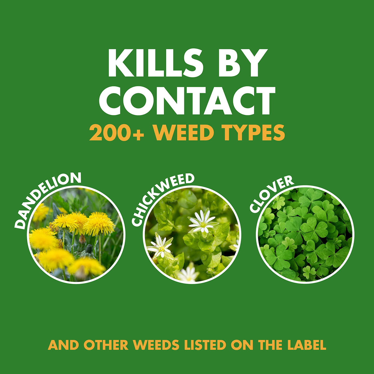 32 Oz Concentrate Weed Killer A9888